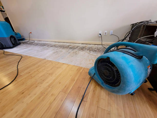 Professional Structural Drying technician working in Point Roberts, WA